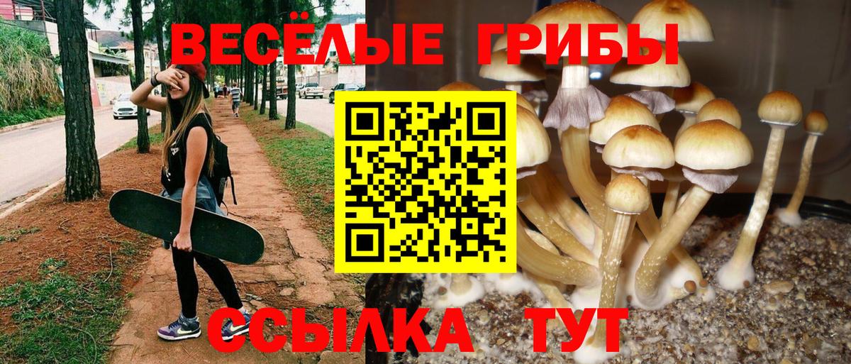 Борзя  Галлюциногенные грибы Magic Shrooms  Вход с VPN 