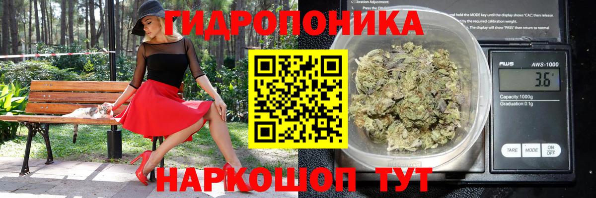 Каннабис White Widow Борзя